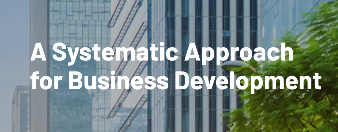 A Systematic Approach for Business Development White Paper